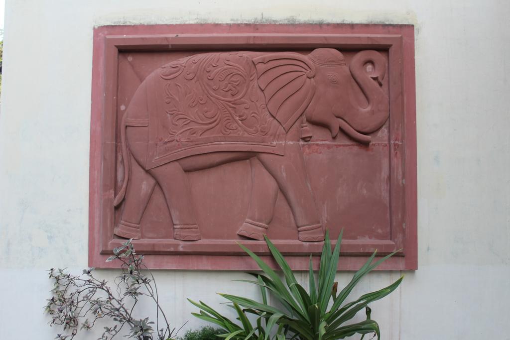 Shahar Palace Jaipur Dış mekan fotoğraf